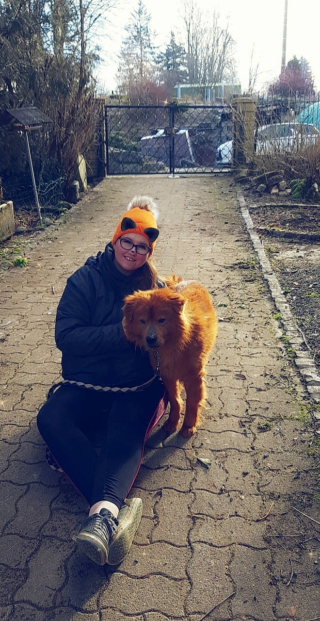 Léo a rejoint le concours — aidez-le/la à gagner de superbes lots ! canidae, carnivore, chow_chow, companion_dog, dog, dog_breed, dog_walking, finnish_spitz, fur, pomeranian, sporting_group, street_dog