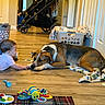 Elizabeth is registered to the contest to win money with this photo: baby, dog, floor, toy, blanket, laundry_basket, wooden_floor, pacifier, indoor, child, pet, home, clothing, stroller, playtime, interaction, mammal, carpet, colorful, curious