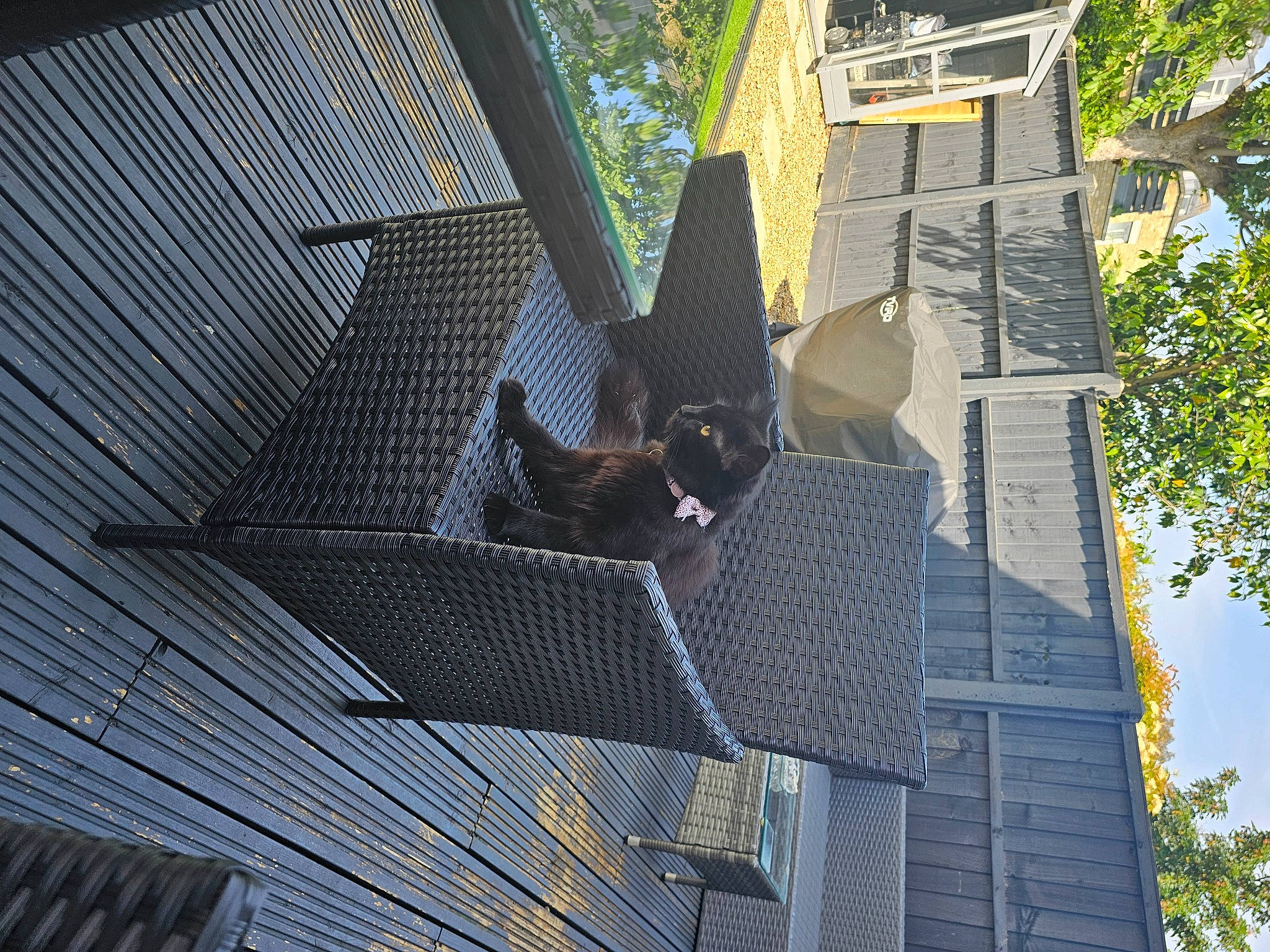 Misty is registered to the contest to win money with this photo: building, daylighting, facade, glass, house, leisure, mesh, metal, pattern, roof, siding, steel, tree, twig, window, wood