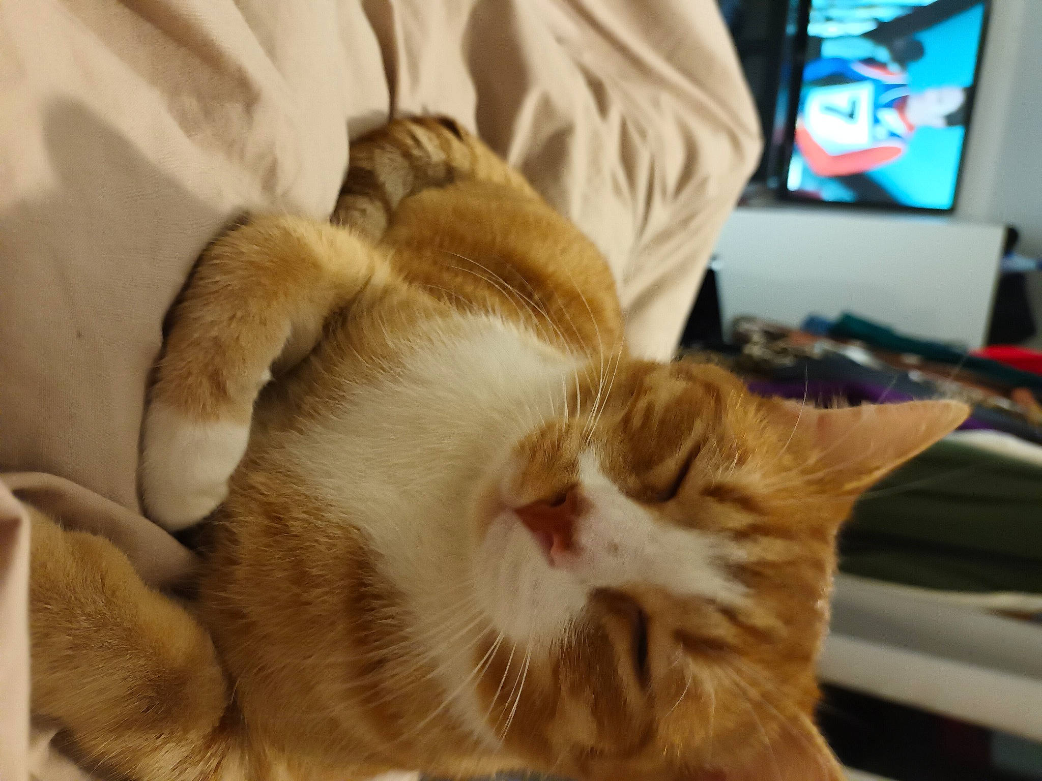 Bebe