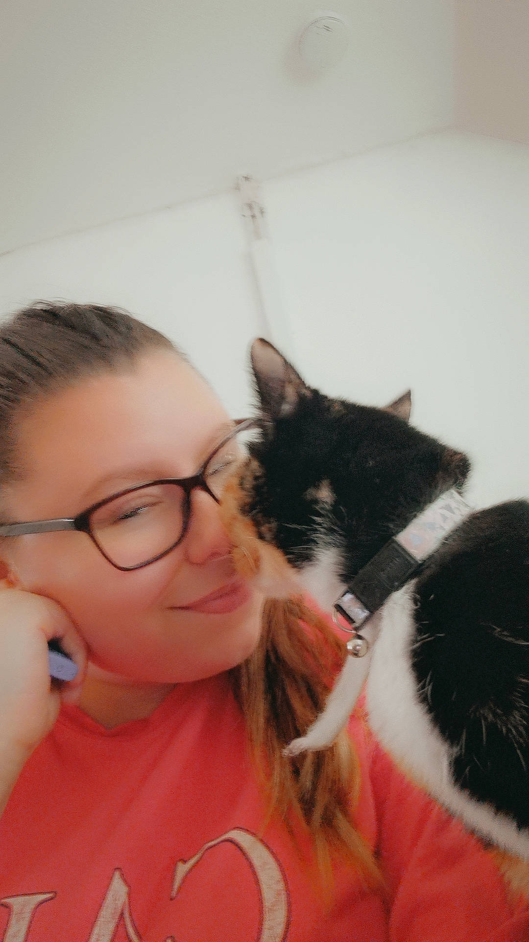 Ember joined the competition — help win amazing prizes! black_hair, brown_hair, carnivore, cat, comfort, ear, eyelash, eyewear, felidae, gesture, glasses, hair, happy, long_hair, mammal, nose, small_to_medium_sized_cats, smile, vision_care, whiskers