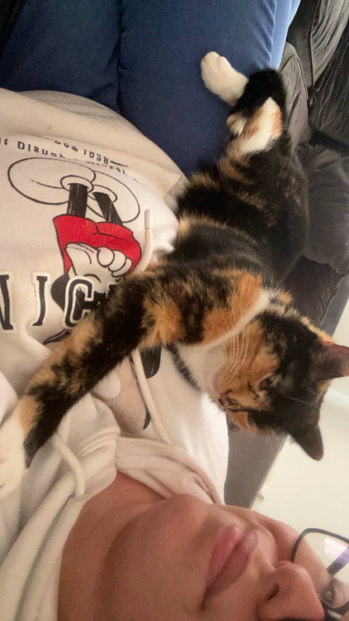 Ember joined the competition — help win amazing prizes! carnivore, cat, claw, comfort, domestic_short_haired_cat, felidae, fur, gesture, human_leg, linens, nail, nap, paw, room, small_to_medium_sized_cats, tail, textile, thigh, whiskers
