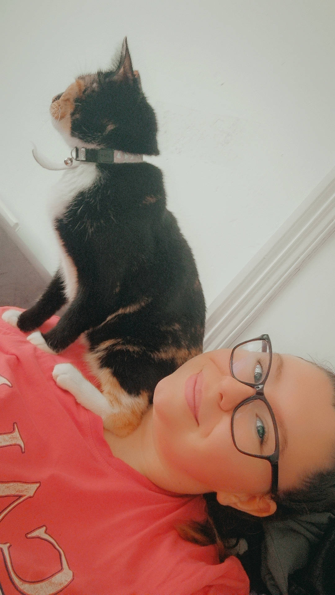 Ember is registered to the contest to win money with this photo: carnivore, cat, comfort, elbow, eyewear, felidae, fun, gesture, happy, human_leg, jaw, neck, small_to_medium_sized_cats, smile, sunglasses, tail, vision_care, whiskers, window, wrist