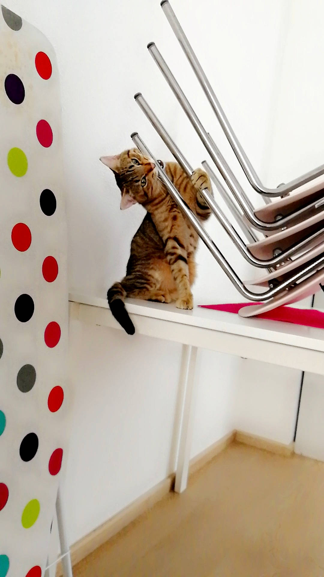 Nestor a rejoint le concours — aidez-le/la à gagner de superbes lots ! art, carmine, ceiling, circle, design, dishware, font, hardwood, interior_design, magenta, material_property, metal, pattern, product, rectangle, room, shelf, shelving, stairs, wood