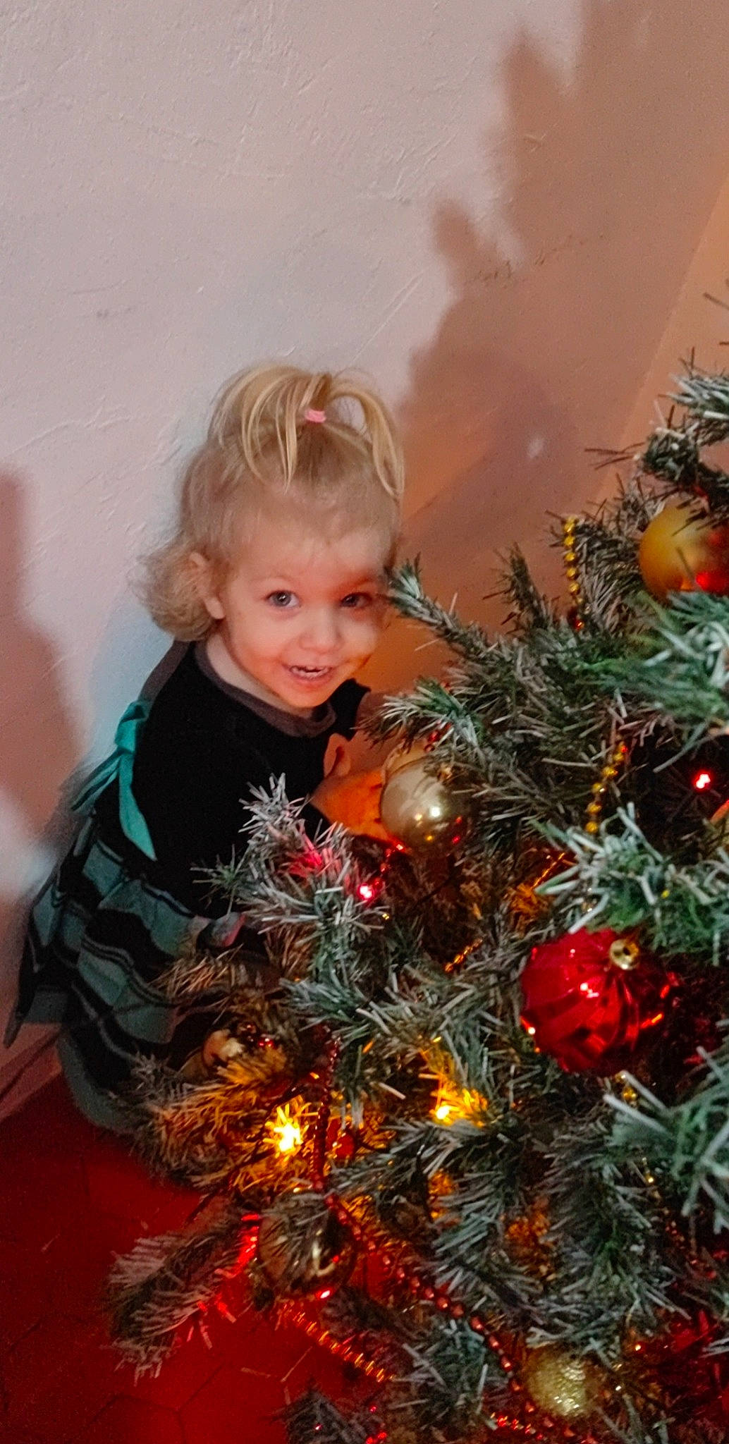 Inès participe au concours pour gagner de l'argent avec cette photo : christmas, christmas_decoration, christmas_eve, christmas_ornament, christmas_tree, evergreen, eye, hair, happy, holiday, holiday_ornament, joy, larch, leaf, ornament, people, person, shortstraw_pine, smile, toddler