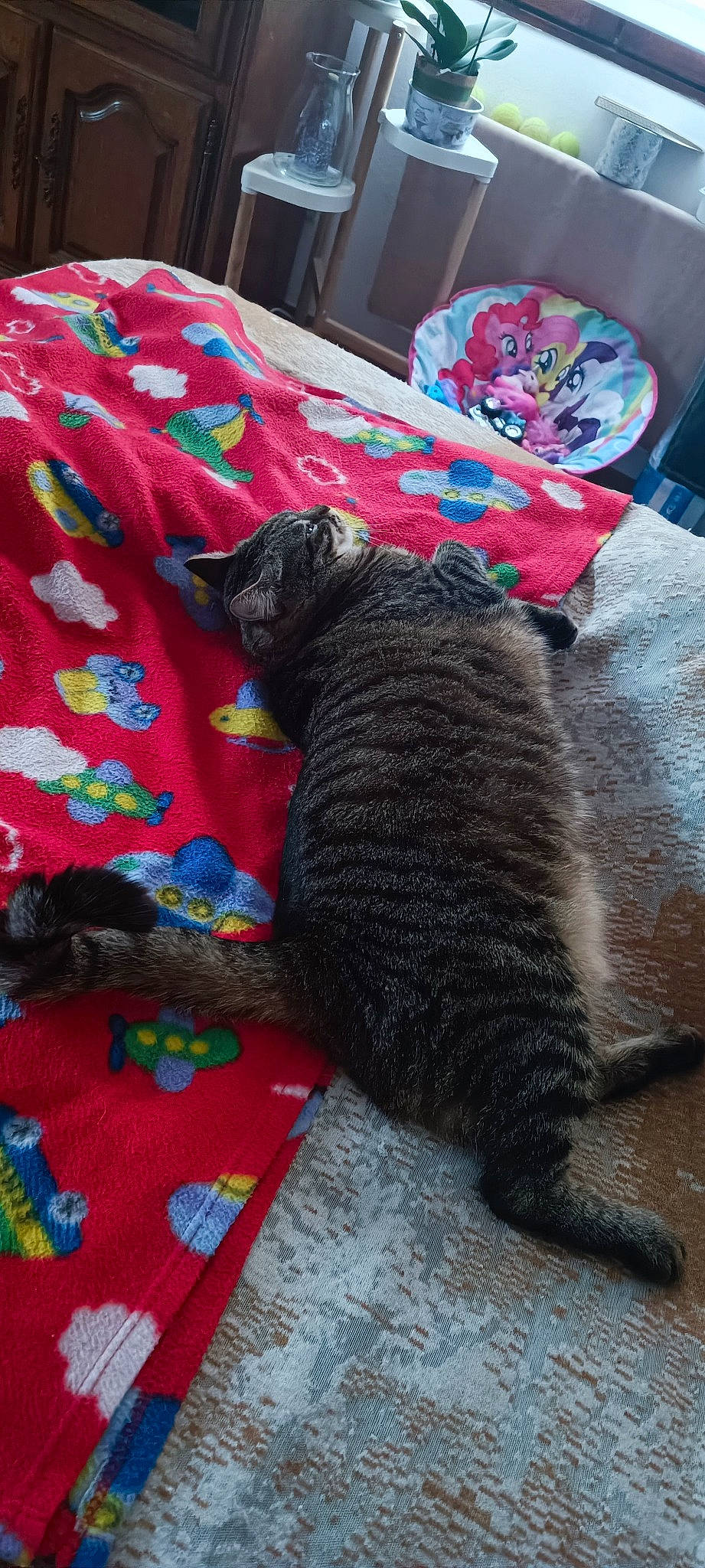 Kira participe au concours pour gagner de l'argent avec cette photo : black_cat, carnivore, cat, cat_supply, comfort, crochet, domestic_short_haired_cat, felidae, fur, grey, linens, magenta, pattern, small_to_medium_sized_cats, tail, textile, thread, whiskers, wool, woolen