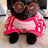 cat, black_cat, sunglasses, pink_jacket, pet_clothing, indoor, marble_surface, feline, cute, fashion, animal, pet, portrait, relaxed, adorable, domestic_cat, whiskers, ears, paws, closeup