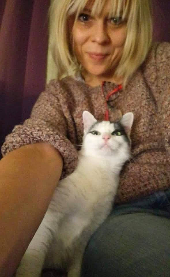 Crevette participe au concours pour gagner de l'argent avec cette photo : carnivoran, cat, cat_like_mammal, domestic_short_haired_cat, eye, fur, girl, human_hair_color, iris, kitten, mammal, person, skin, small_to_medium_sized_cats, vertebrate, whiskers