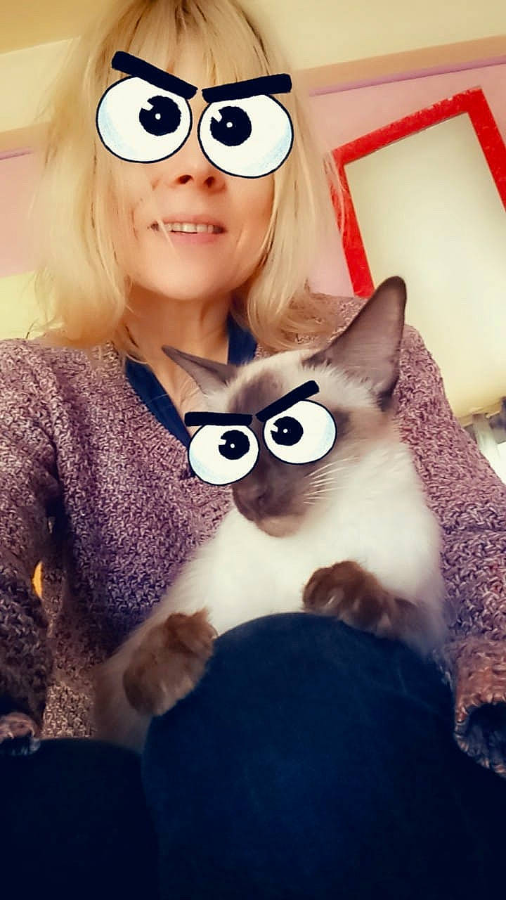 Izzy a rejoint le concours — aidez-le/la à gagner de superbes lots ! cat, ear, eye, eyewear, felidae, fur, glasses, person, snout, vision_care, whiskers