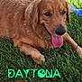 Kali Rae is registered to the contest to win money with this photo: