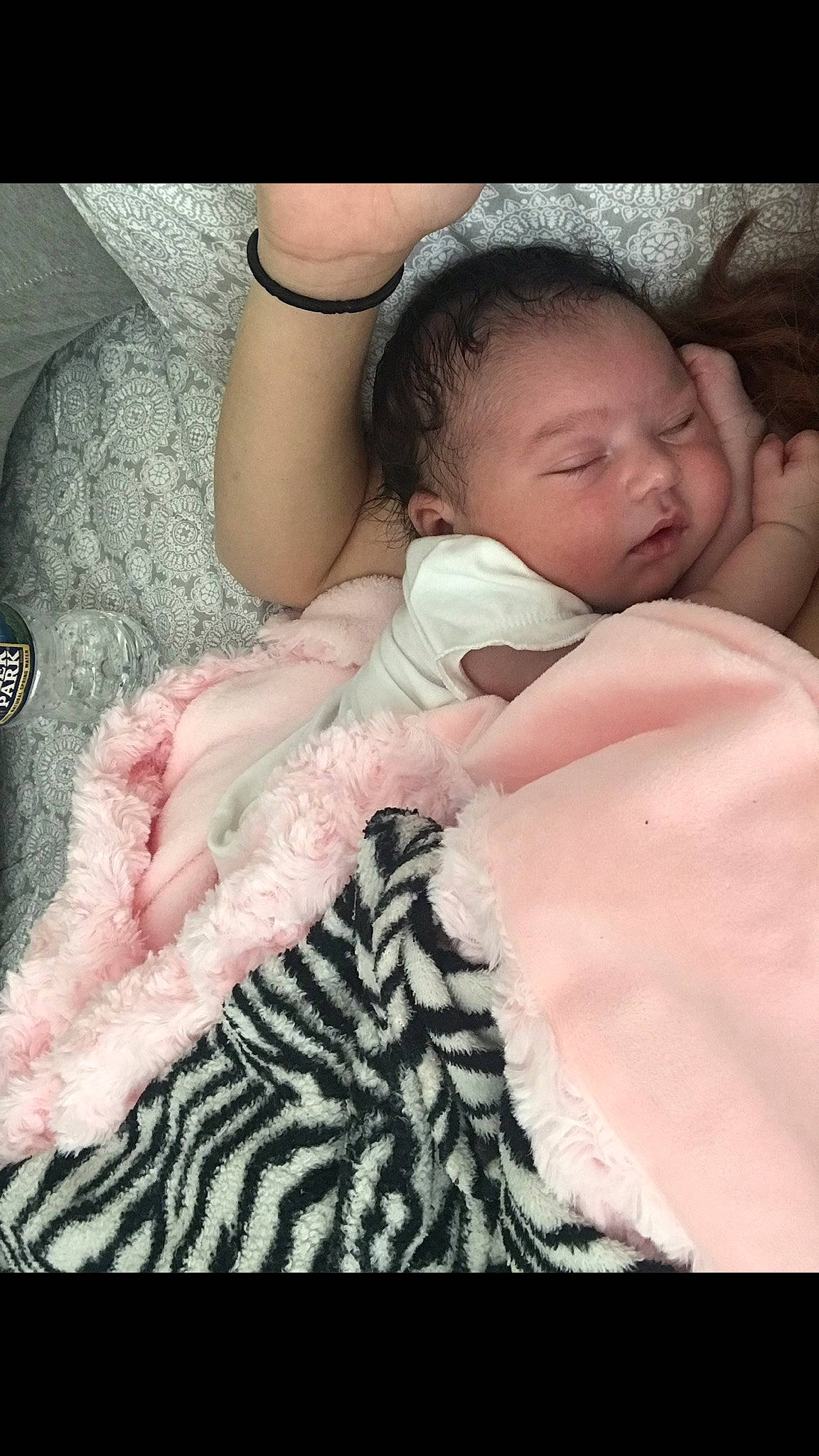 Korra joined the competition — help win amazing prizes! baby, bedtime, birth, cheek, child, eye, fur, head, nap, nose, person, pink, skin, sleep, toddler