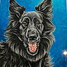 dog, painting, black_dog, blue_background, portrait, happy, tongue_out, fluffy, fur, animal_art, detailed, smiling, canine, artwork, realistic_painting, pet, expression, close_up, portrait_art, signature