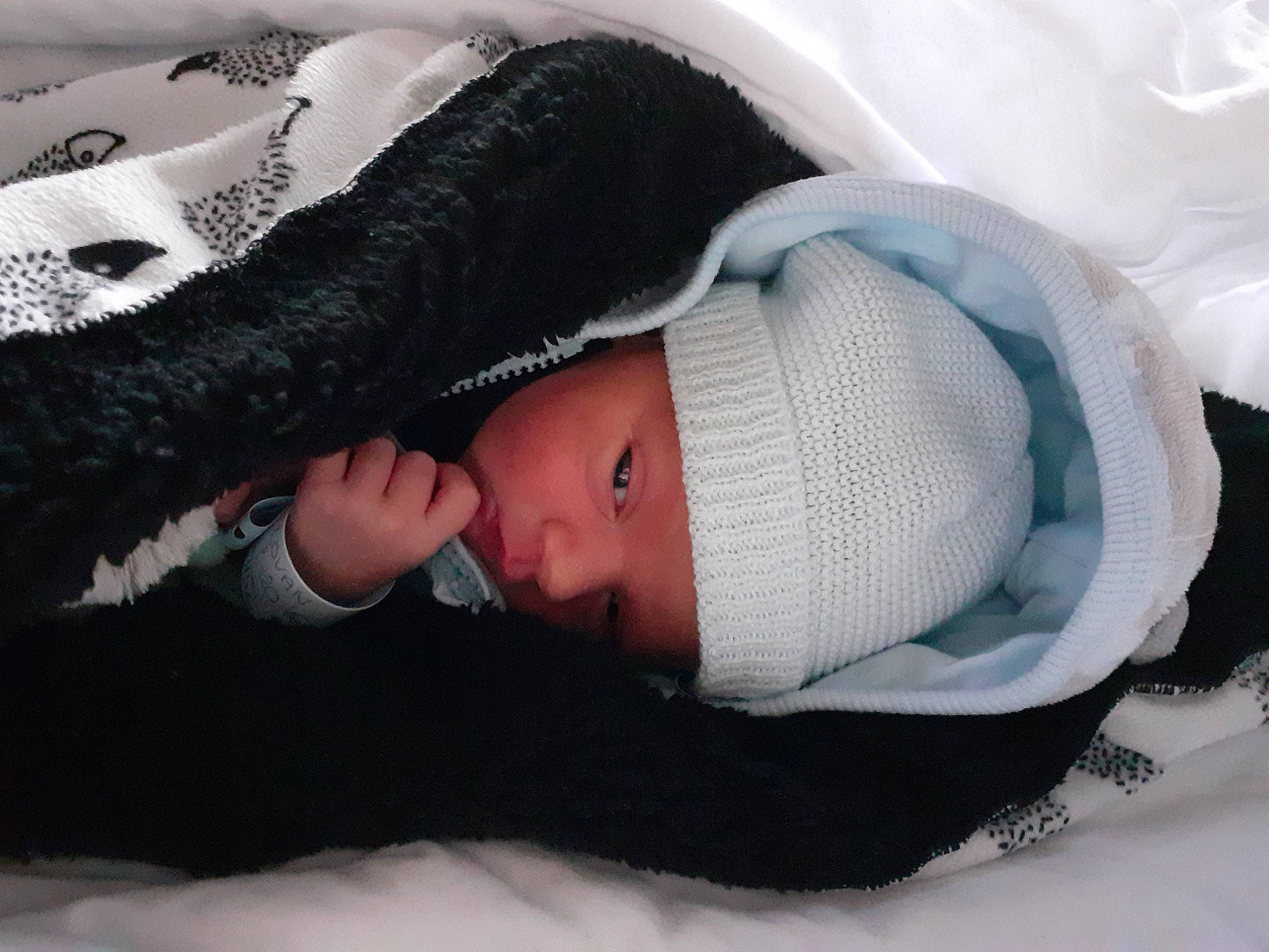 Lovan participe au concours pour gagner de l'argent avec cette photo : baby, beanie, cap, comfort, eye, eyelash, fashion_accessory, freezing, fur, head, headgear, headwear, knit_cap, linens, mouth, neck, person, textile, toddler, tree