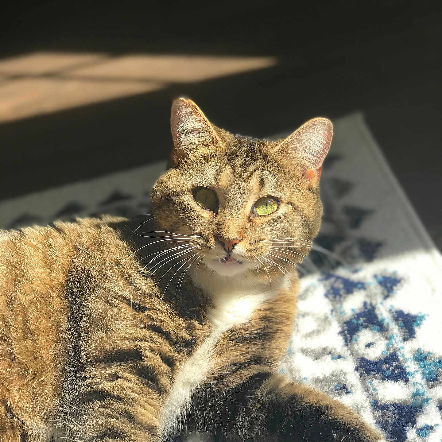Amiga