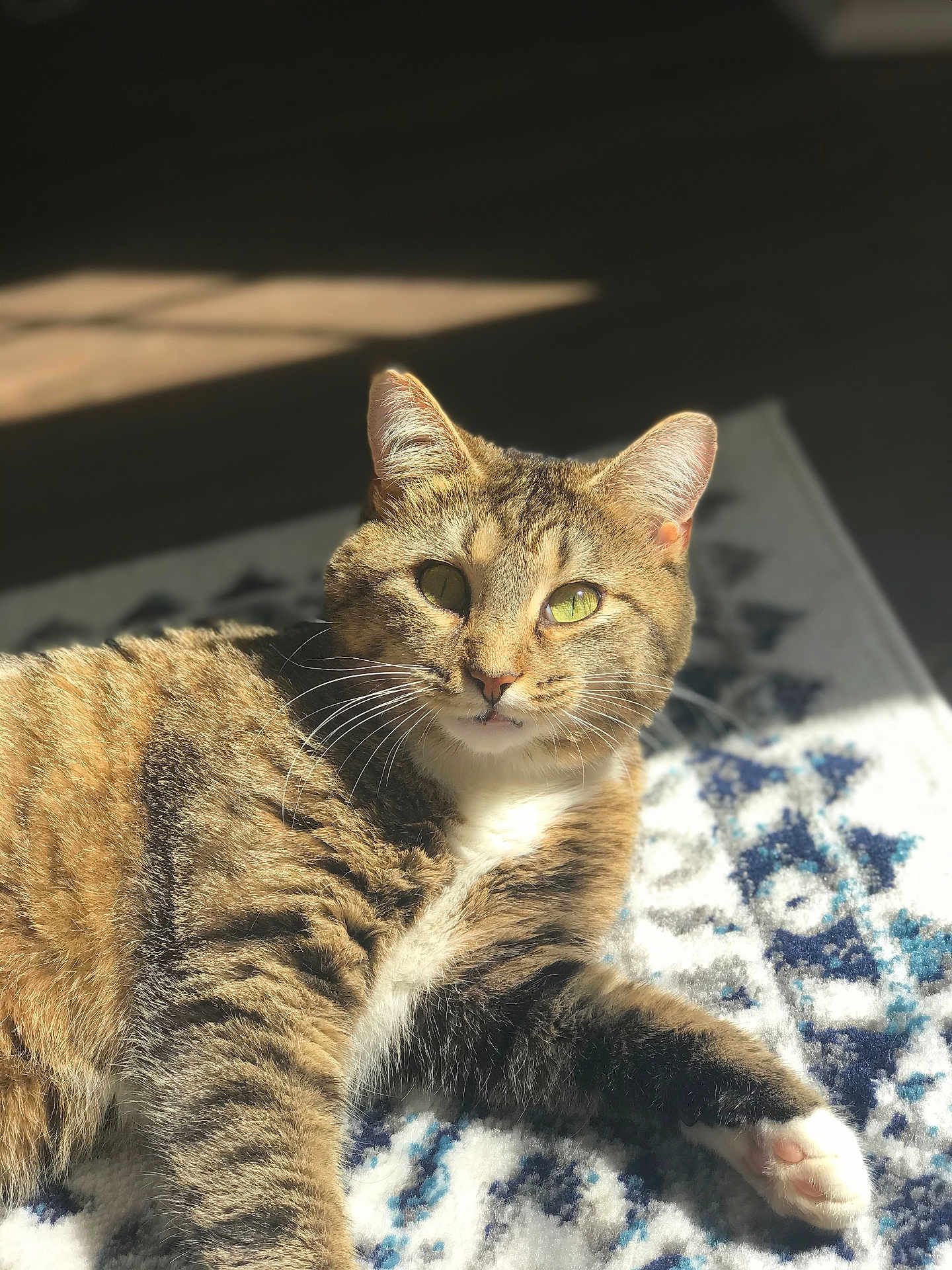 Amiga