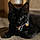 Salem