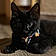 Salem