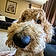 Arlo
