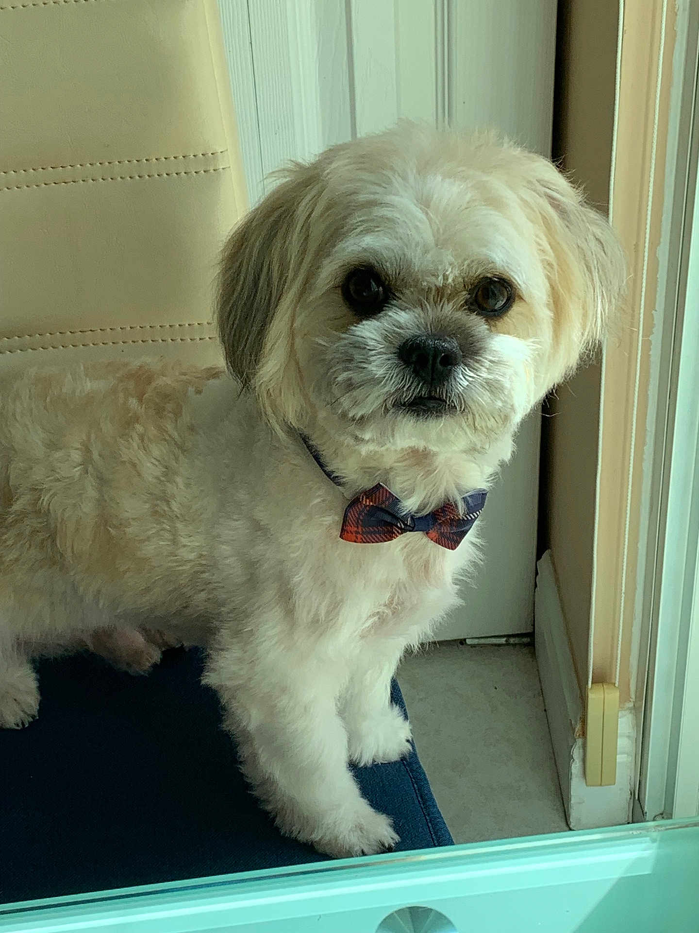 Milo