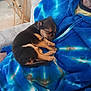 Dakota is registered to the contest to win money with this photo: animal, blue_hoodie, clothing, comfort, cozy, cuddly, cute, dog, fur, hand, human, indoor, nap, pet, puppy, resting, sleeping, small_dog, tie_dye, young_dog