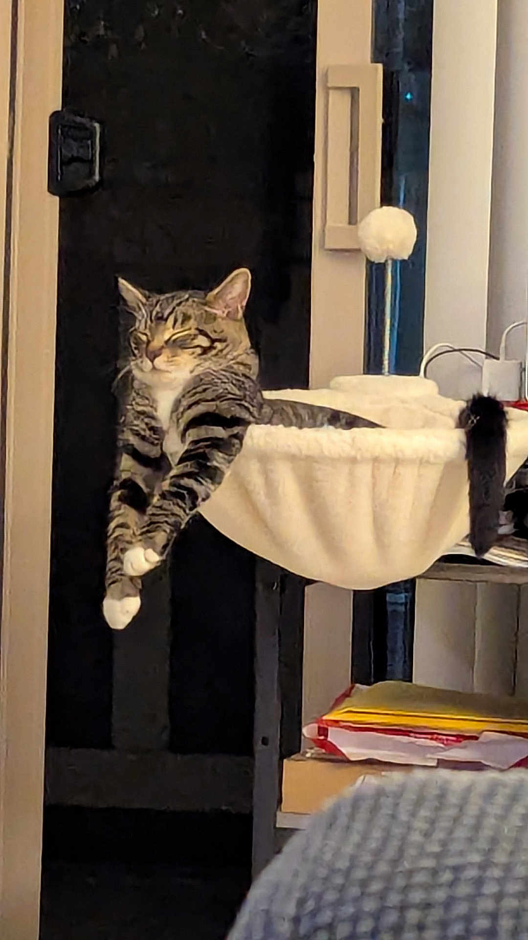 Lux