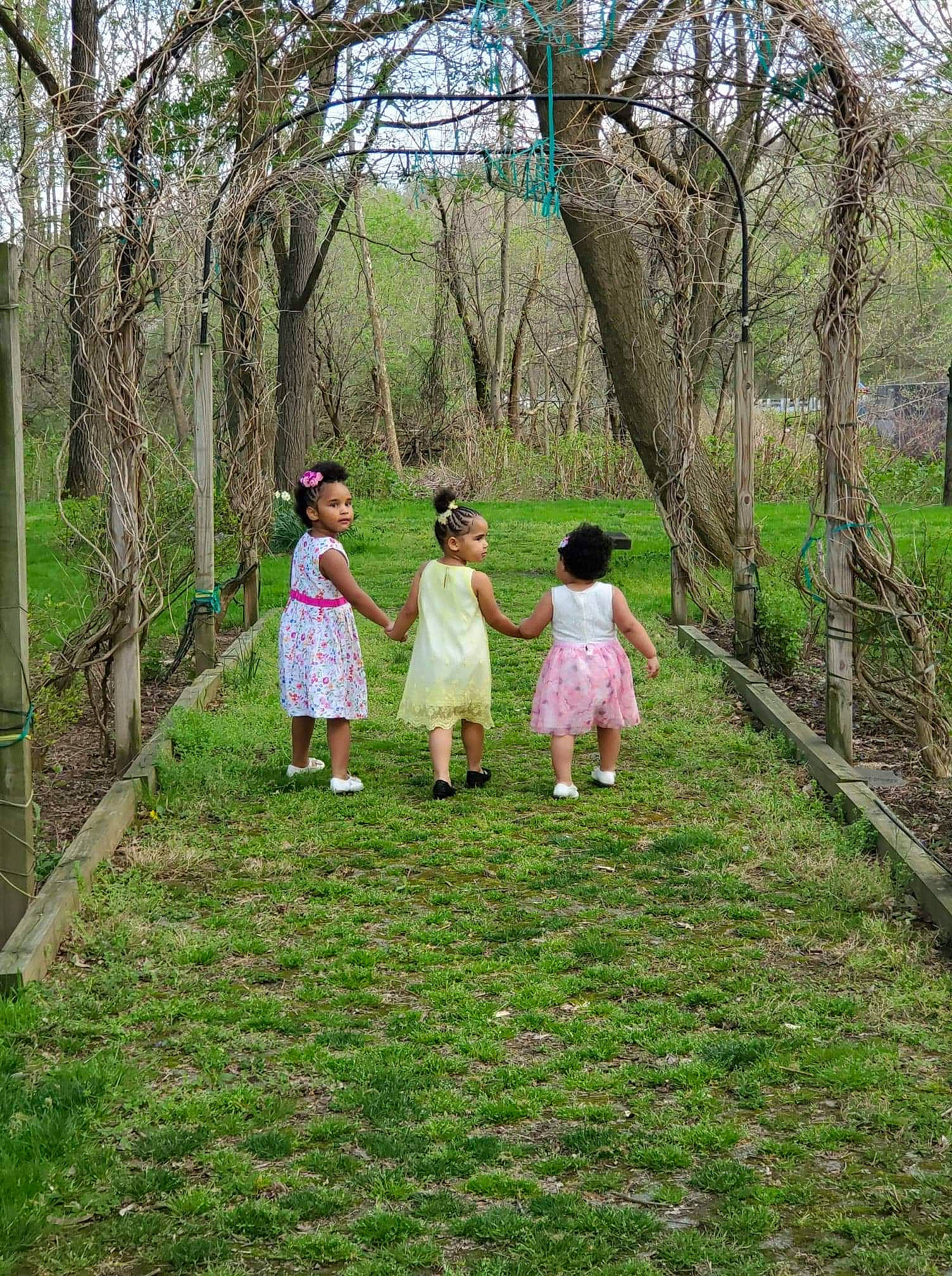 Terri joined the competition — help win amazing prizes! child, dress, gesture, grass, grassland, headwear, people_in_nature, person, photograph, photography, plant, plantation, tree, walking, woodland
