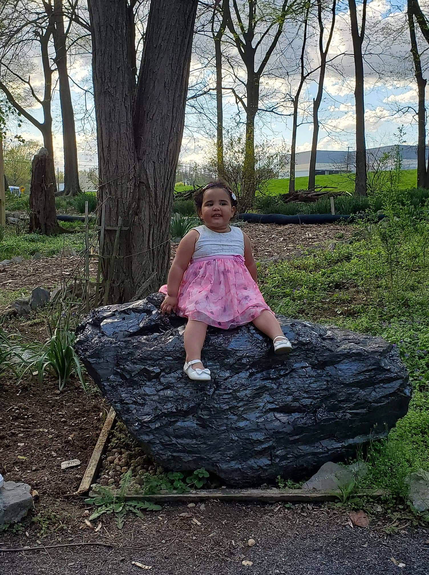 Terri joined the competition — help win amazing prizes! branch, dress, fawn, forest, furniture, grass, leaf, person, photography, plant, rock, sitting, spring, table, tree, tree_stump, trunk, vacation, wood, woodland