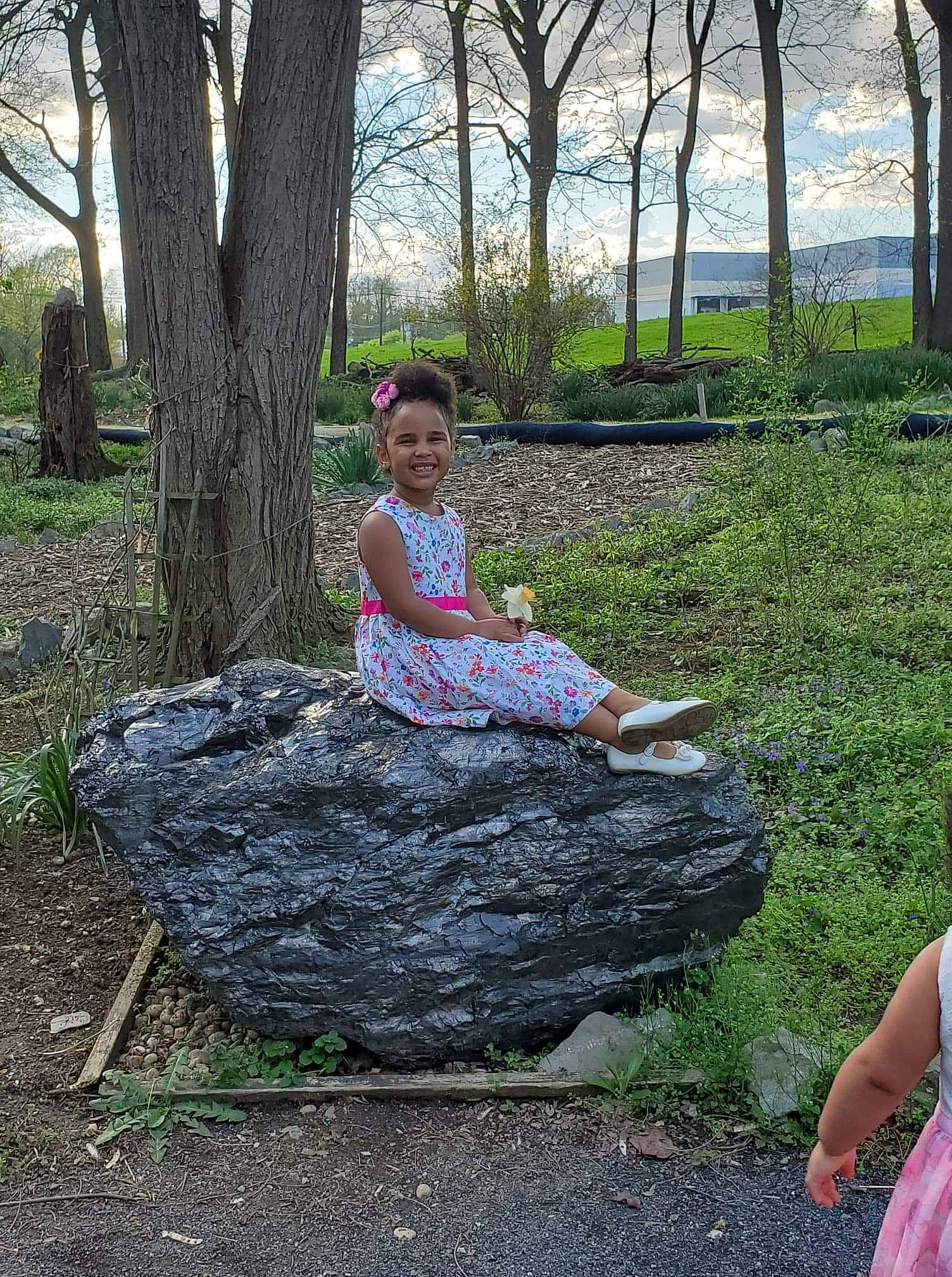 Lily joined the competition — help win amazing prizes! grass, joy, leaf, leisure, person, plant, rock, sitting, tree, tree_stump, trunk