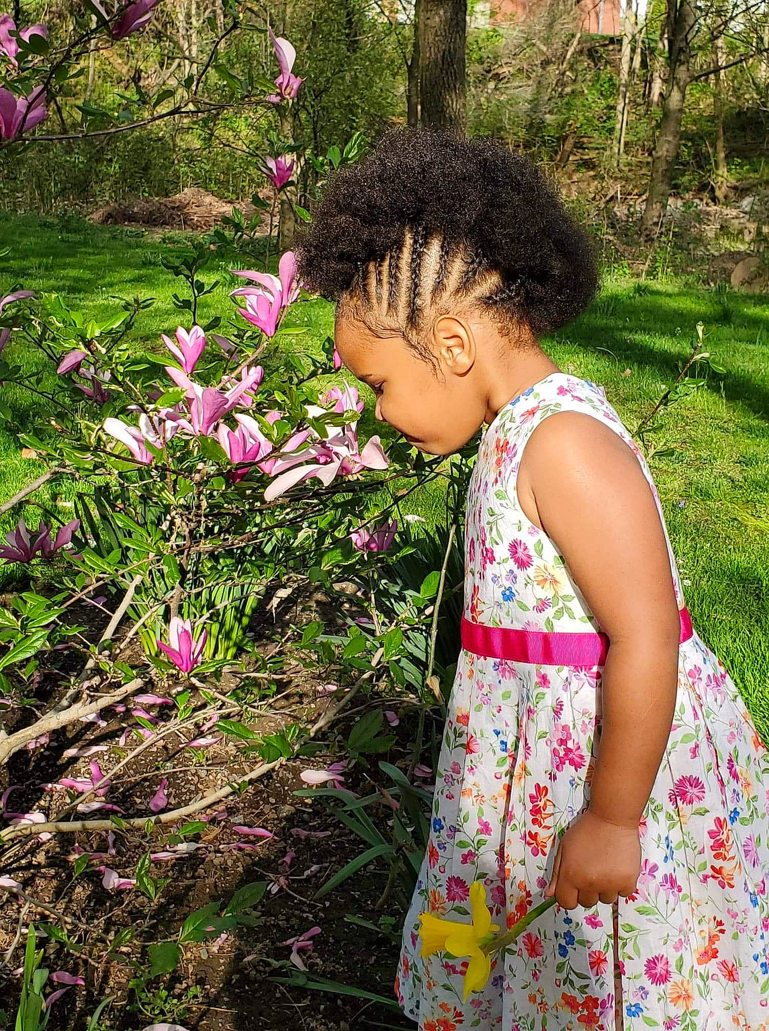Lily is registered to the contest to win money with this photo: botany, child, fawn, flower, garden, grass, people_in_nature, person, pink, plant, shrub, spring, toddler, tree, wildflower
