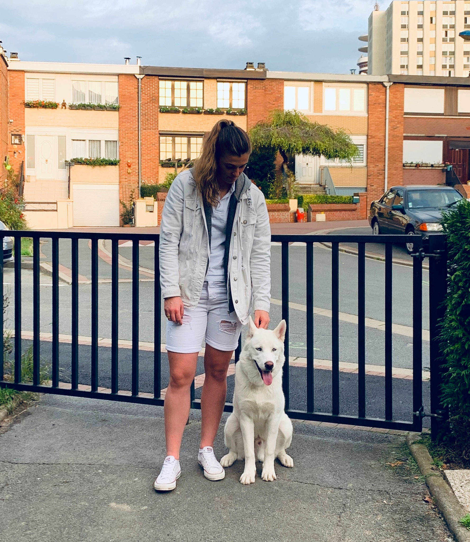 Tyler participe au concours pour gagner de l'argent avec cette photo : akita_inu, berger_blanc_suisse, canidae, carnivore, companion_dog, dog, dog_breed, dog_walking, fur, golden_retriever, korean_jindo_dog, mammal, sporting_group, street_fashion, vertebrate, white_shepherd, working_dog