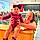 Sadek F.