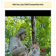Butterball is registered to the contest to win money with this photo: cat, statue, garden, flower, greenery, tree, outdoor, daylight, foliage, orange_cat, white_cat, stone, nature, plant, sculpture, peaceful, portrait, background, competition, webpage