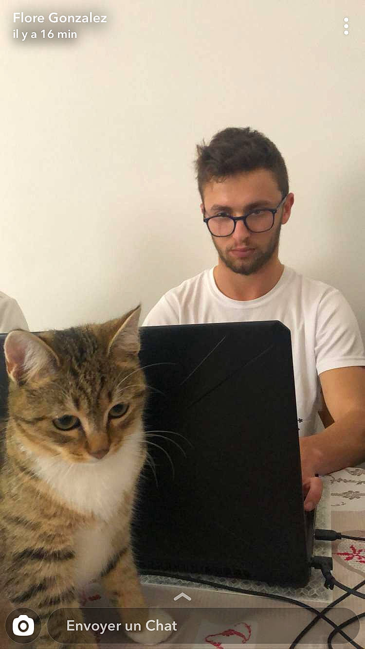 Pougnette participe au concours pour gagner de l'argent avec cette photo : carnivore, cat, domestic_short_haired_cat, ear, european_shorthair, felidae, fur, kitten, lap, laptop, siberian, sitting, small_to_medium_sized_cats, tabby_cat, technology, whiskers