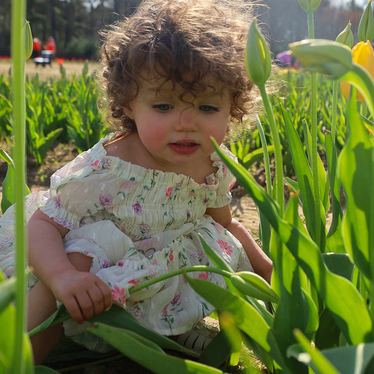 Eliana is registered to the contest to win money with this photo: baby, bodypart, face, finger, flower, garden, grass, hand, head, herbs, iris, leaf, nature, outdoors, person, petal, photography, plant, portrait, tulip