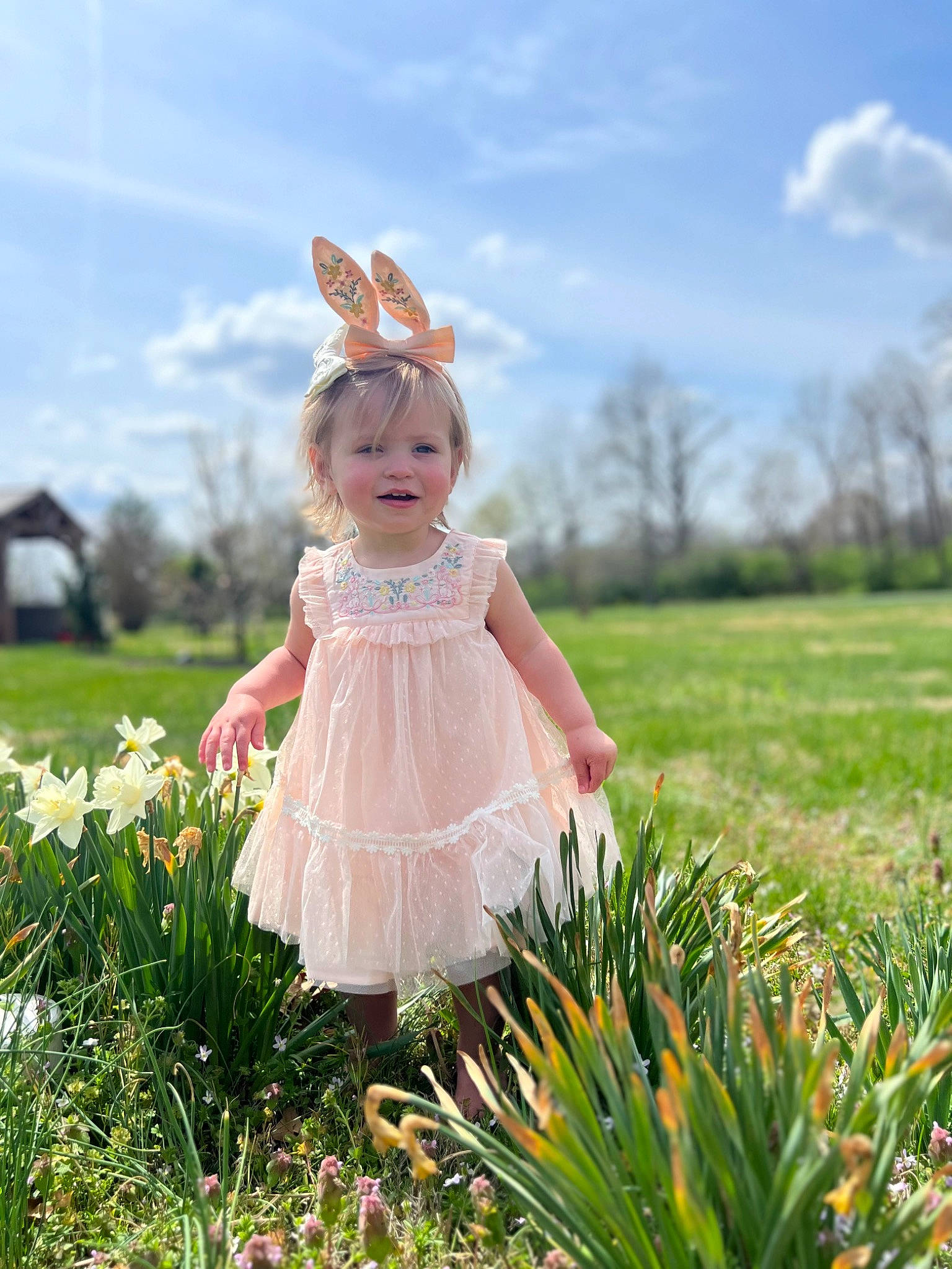Palmer joined the competition — help win amazing prizes! baby, baby_toddler_clothing, cloud, dress, flower, grass, grass_family, grassland, happy, joy, landscape, lawn, meadow, people_in_nature, person, petal, plant, prairie, sky, summer