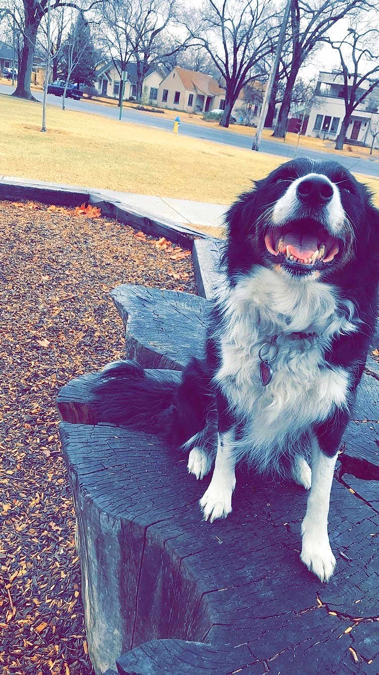 Lilly