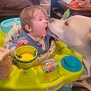 Ghost joined the competition — help win amazing prizes! activity_center, affection, baby, candid, child, closeup, cute, dog, domestic, expression, face, floor, furniture, indoor, interaction, living_room, messy, pet, playful, toy