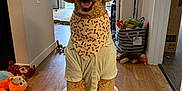 Nobi Le joined the competition — help win amazing prizes! dog, golden_doodle, pet, indoor, toy, bandana, shirt, wooden_floor, smiling, cute, obedient, fur, home, living_room, decor, plush_toy, happy, sitting, canine, animal