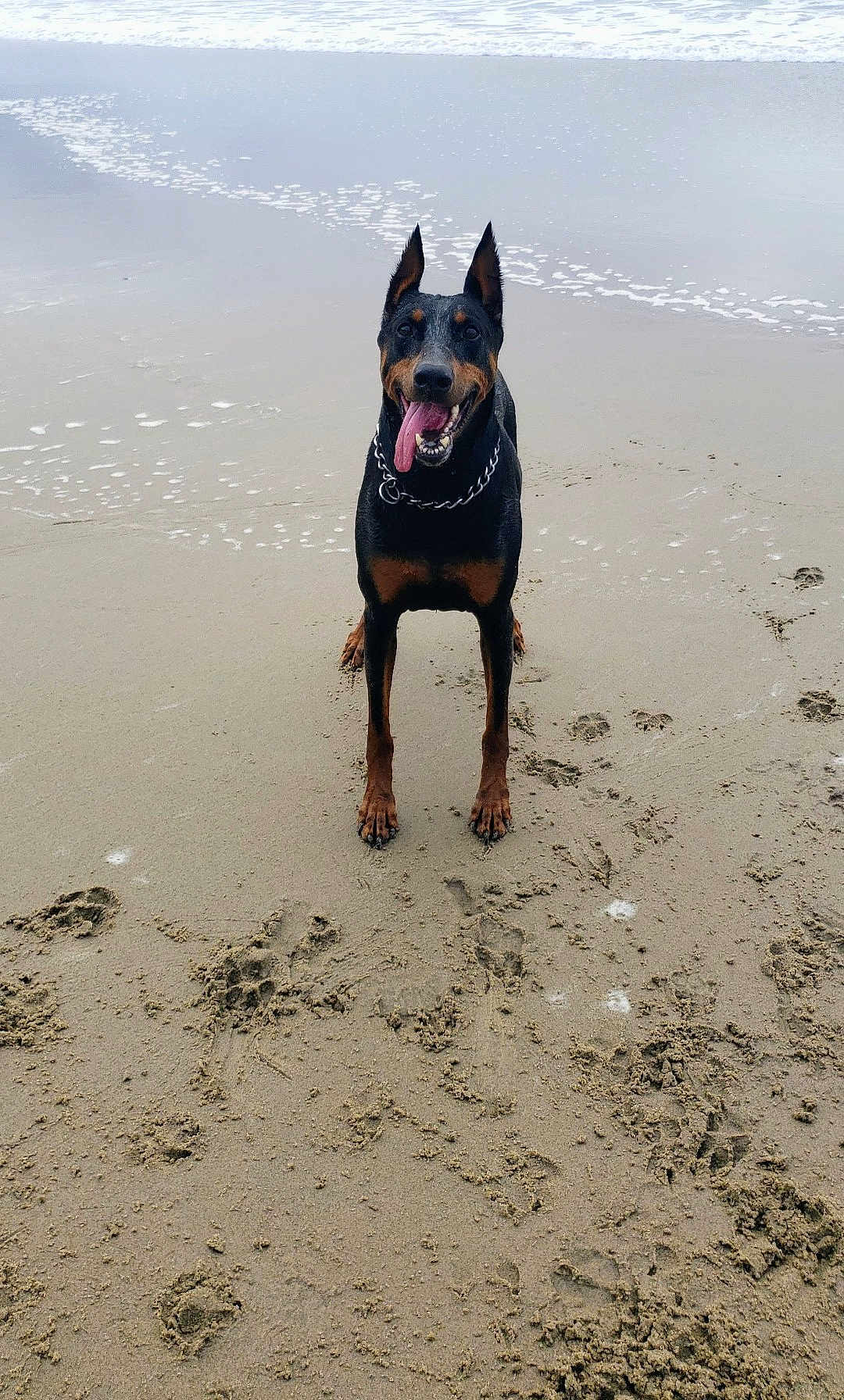 Bella