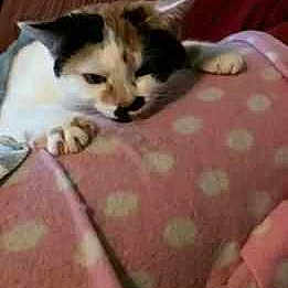 Lilly is registered to the contest to win money with this photo: