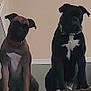 dog, brown_dog, black_dog, indoor, pets, collar, sitting, wall, calm, companions, animal, domestic, two_animals, portrait, house, floor, quiet, friendship, canine, pair