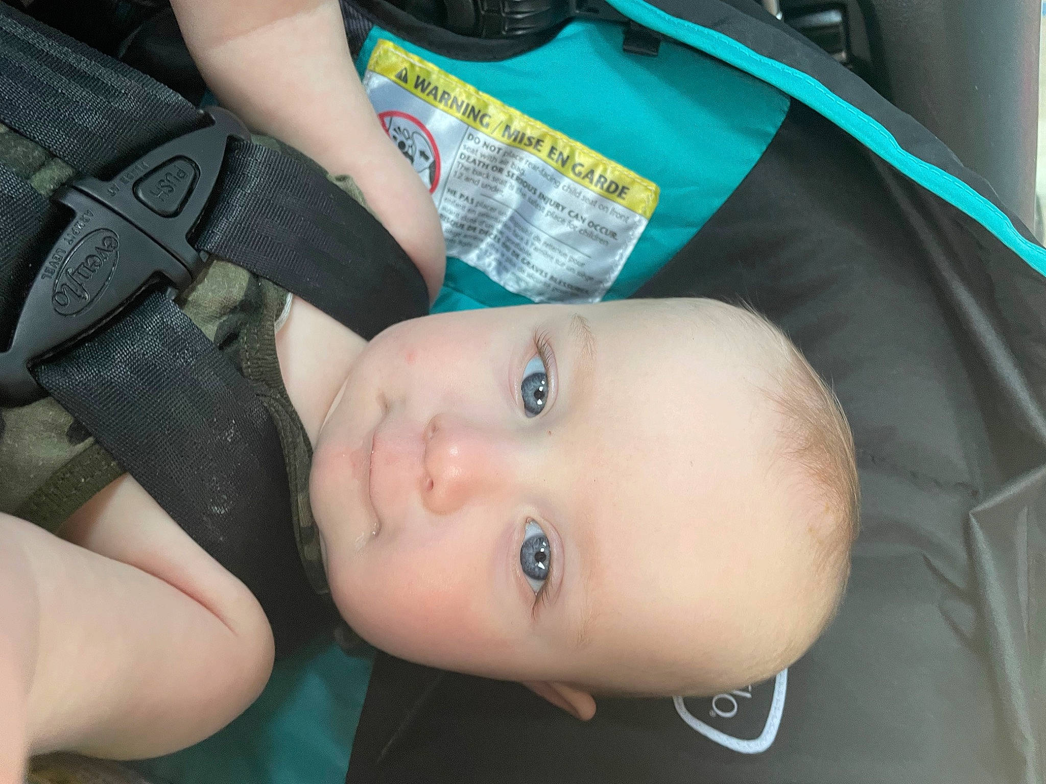 Harrison is registered to the contest to win money with this photo: abdomen, baby, baby_carriage, baby_products, baby_toddler_clothing, bag, cheek, chest, child, electric_blue, eyelash, fashion_accessory, grass, joint, pattern, person, sitting, skin, strap, toddler