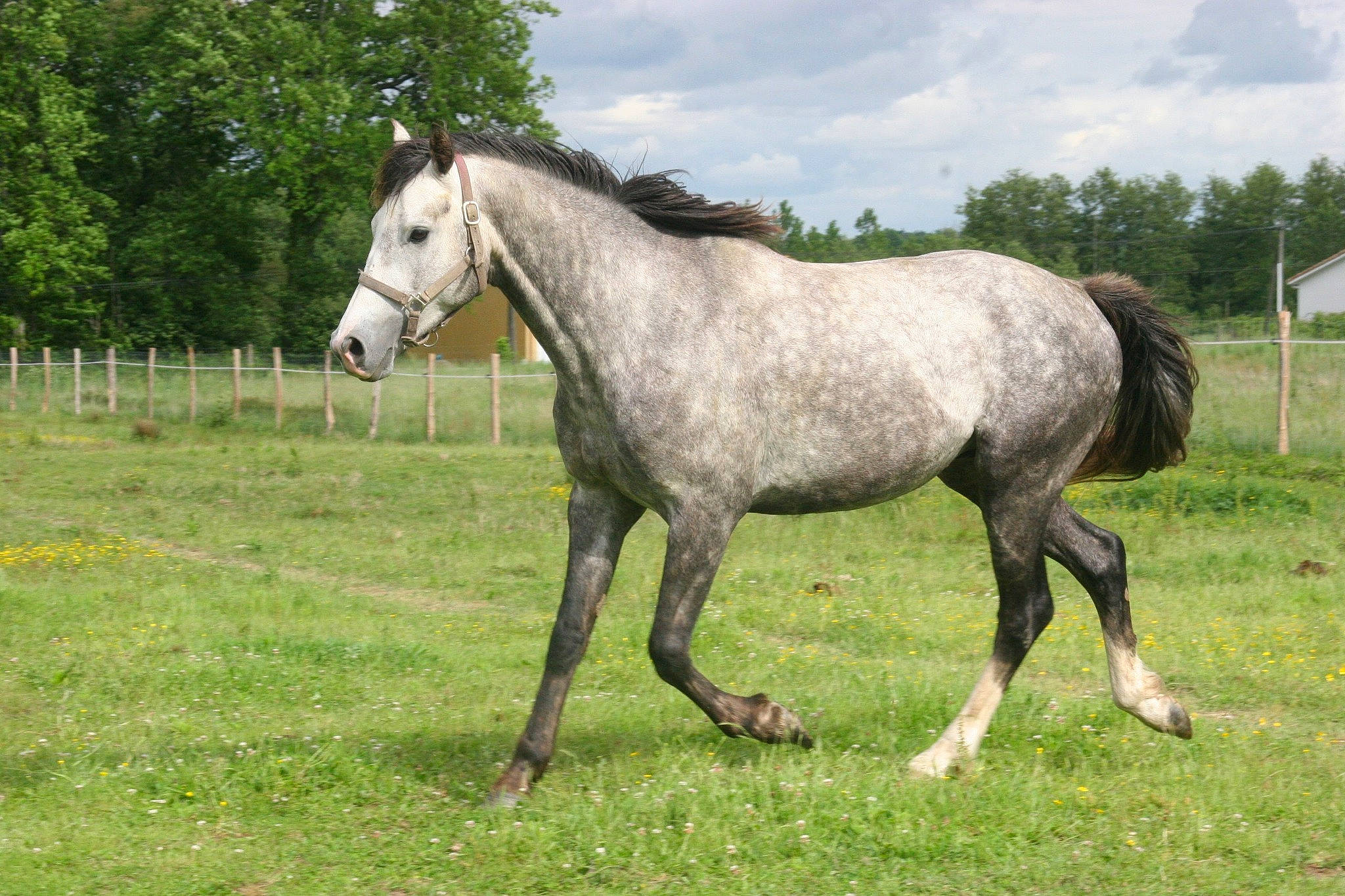 Beautyful Day Du Twin