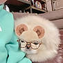 Teddy is registered to the contest to win money with this photo: dog, fluffy, white, glasses, bear_ears_filter, person, hoodie, turquoise, indoor, shelf, household_items, snuggling, pet, cute, cozy, furniture, couch, face, portrait, casual