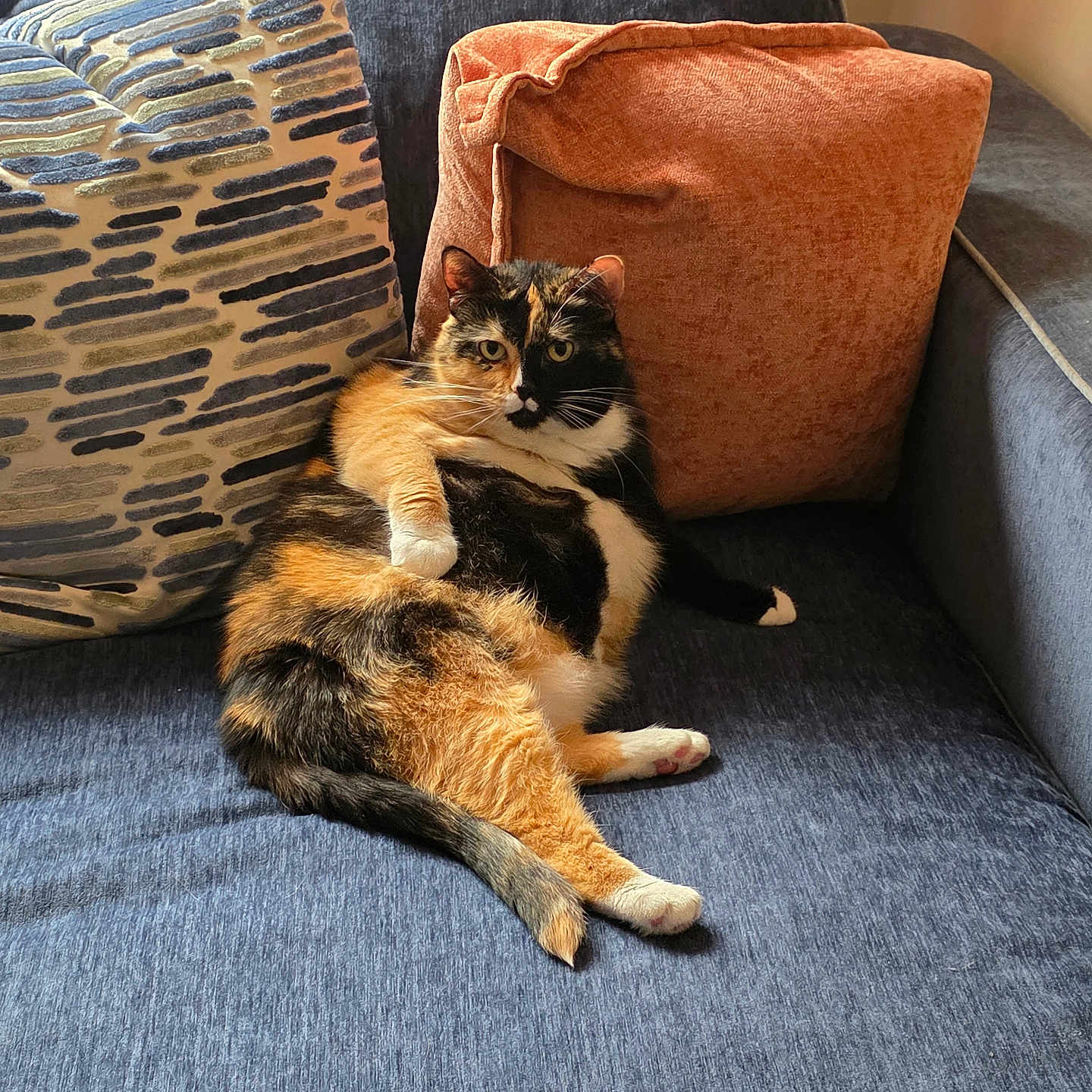 Cali