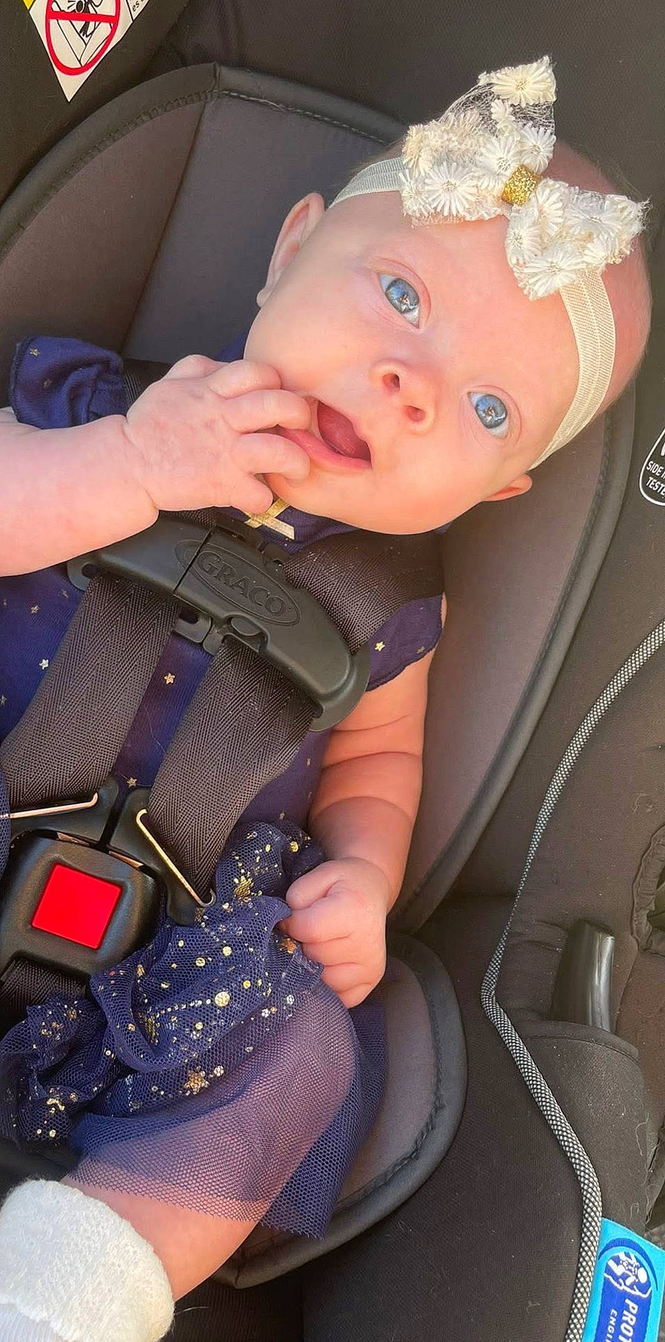 accessories, baby, belt, bodypart, clothing, coat, face, finger, gun, hand, head, jacket, person, photography, portrait, strap, sunglasses, transportation, vehicle, weapon