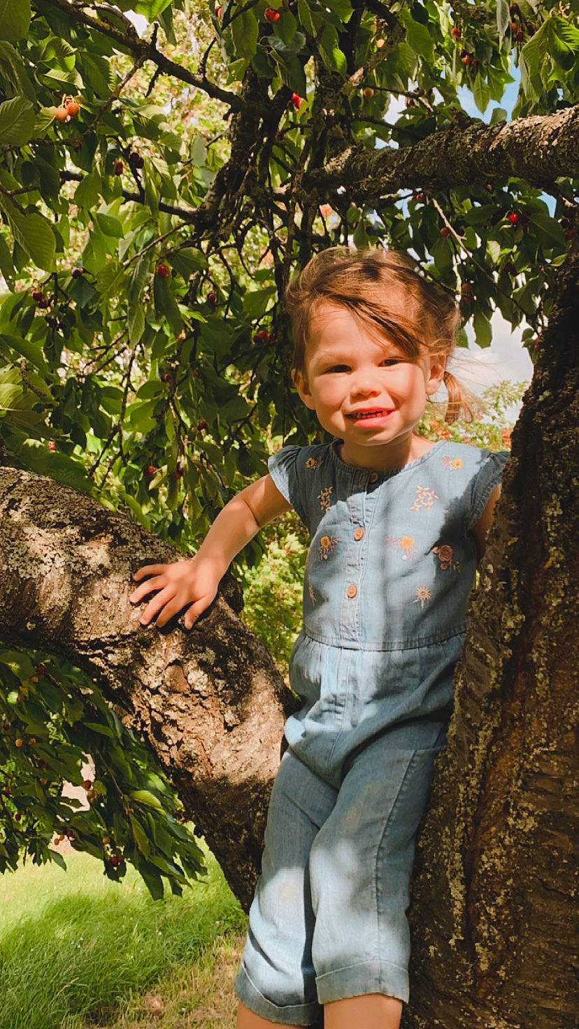 Louise participe au concours pour gagner de l'argent avec cette photo : botany, branch, child, eye, forest, fun, grass, groundcover, happy, joy, leaf, leisure, people_in_nature, person, plant, terrestrial_plant, toddler, tree, trunk, wood