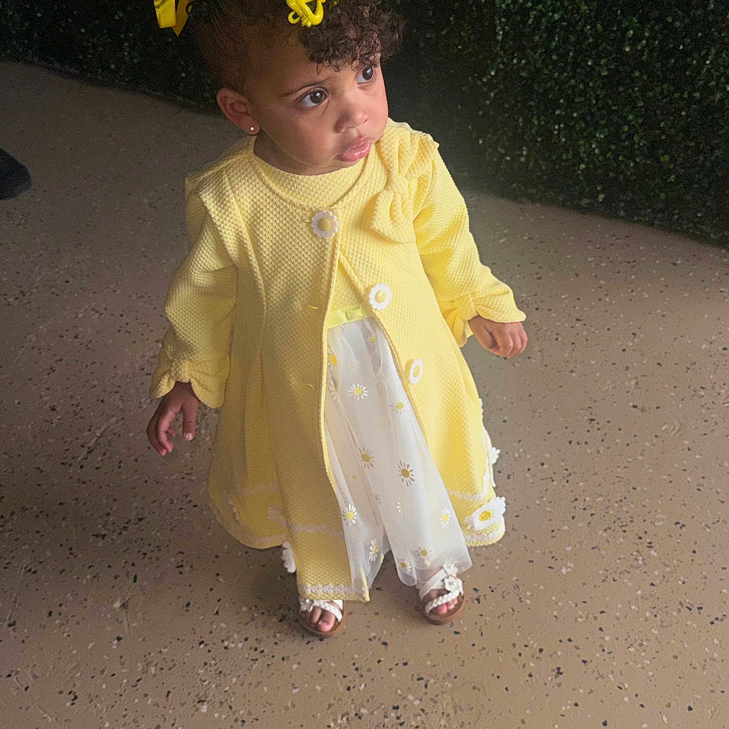 Ayla is registered to the contest to win money with this photo: toddler, child, yellow_dress, yellow_bows, curly_hair, sandals, floor, greenery, outdoor, portrait, cute, fashion, young_child, person, standing, curious, flower_pattern, earrings, evening_light, innocence