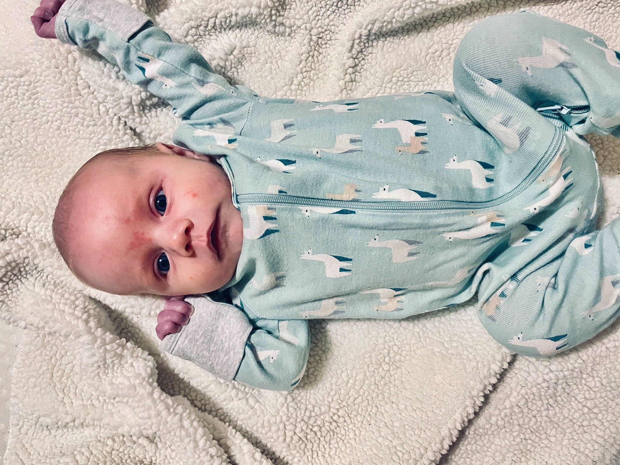 Tucker joined the competition — help win amazing prizes! baby, baby_products, baby_safety, baby_sleeping, baby_toddler_clothing, beauty, cheek, child, comfort, face, foot, grey, head, linens, nap, pattern, person, sitting, sleep, sleeve