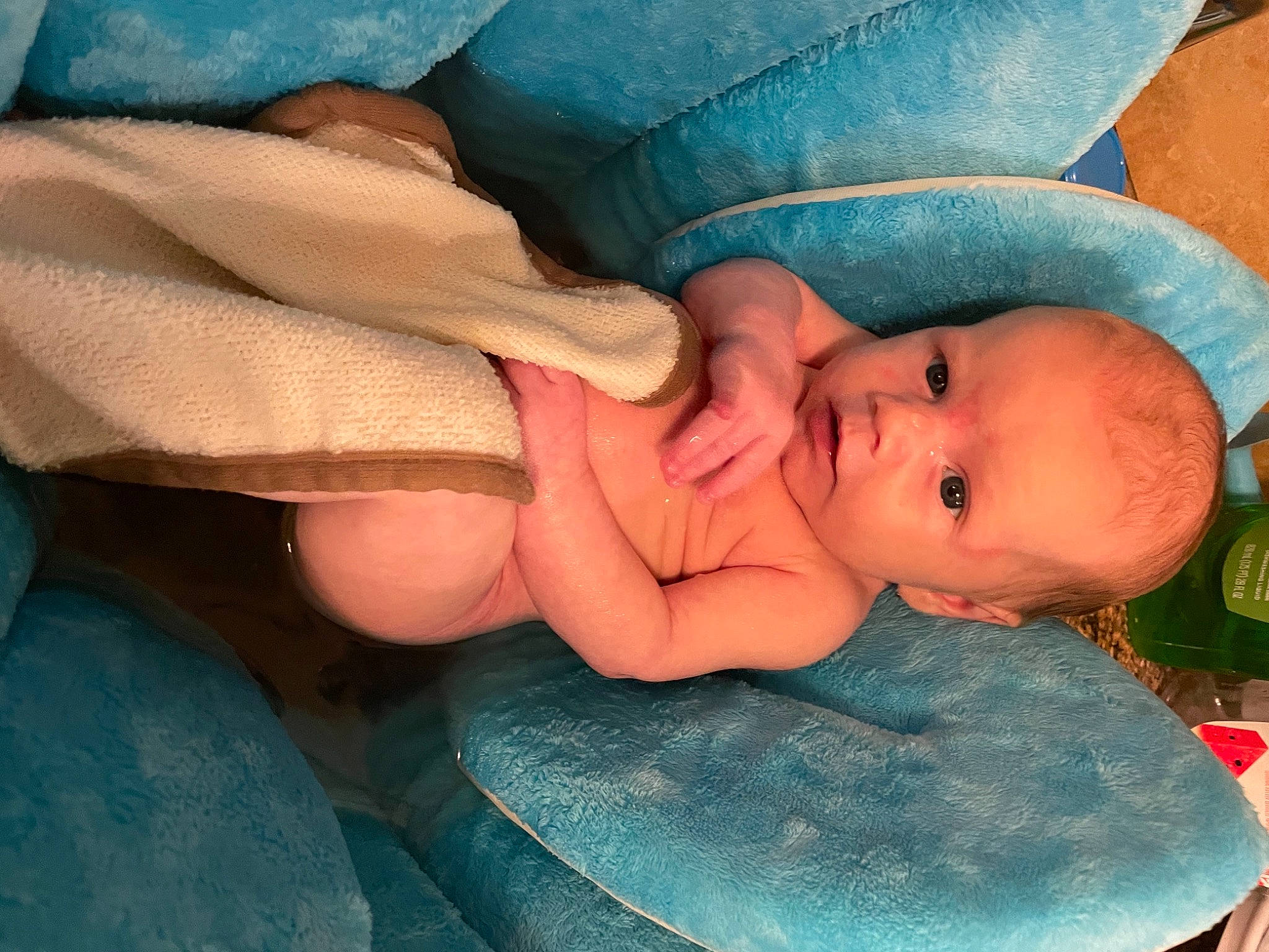 Tucker joined the competition — help win amazing prizes! arm, baby, cheek, chin, comfort, eye, eyebrow, face, facial_expression, finger, gesture, hand, head, headgear, human_body, iris, lip, mouth, nose, person